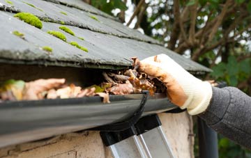 gutter cleaning Lodway, Somerset